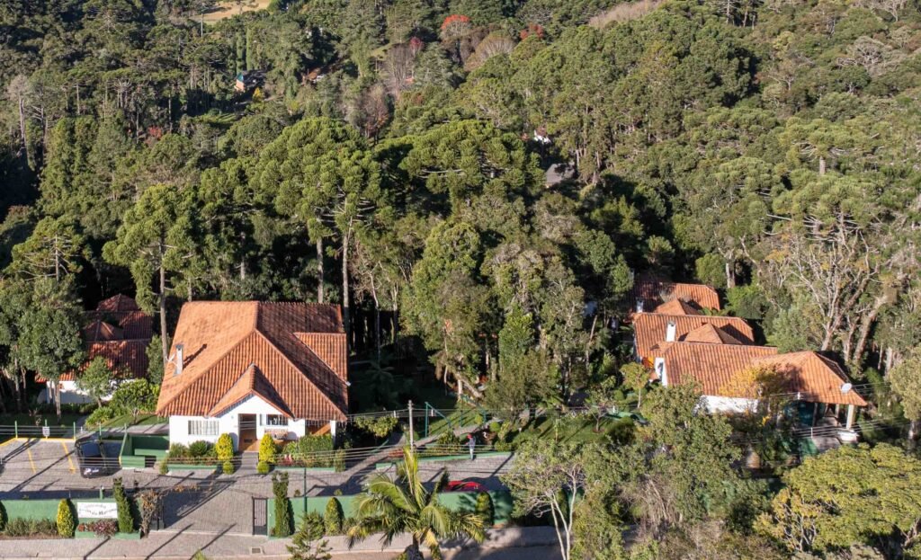 Encontre refúgio e conexão com a natureza em Monte Verde/MG